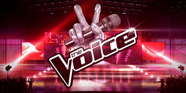 the voice auditions 2017