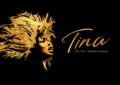 tina turner the musical