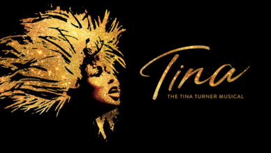 tina turner the musical